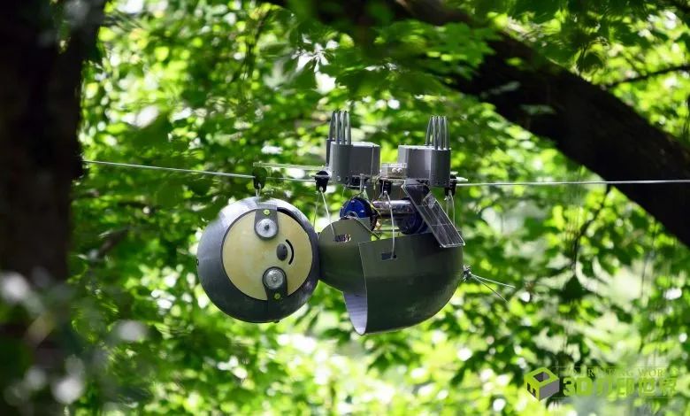 可爱的“树懒”3D打印机器人，帮助监测环境