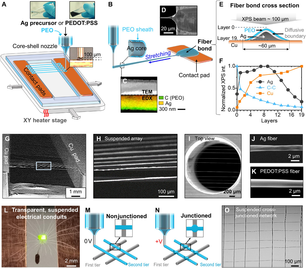 研究人员开发3D打印微型透明电子纤维可用于新一代传感器