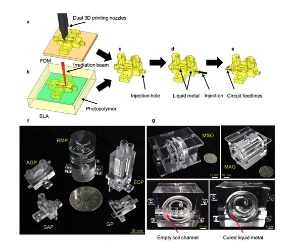 厦门大学陈忠教授团队3D打印射频探头开发磁共振应用