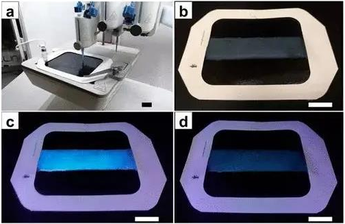 多伦多大学《材料化学》3D打印铁螯合碳点传感的抗菌水凝胶敷料
