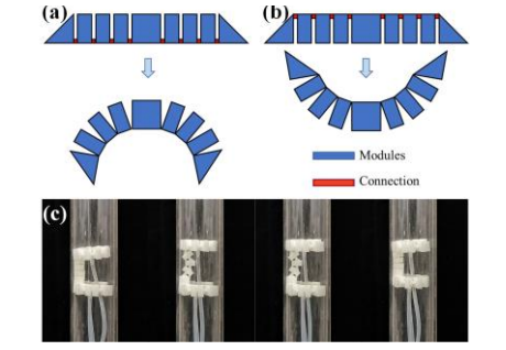 天津研究人员开发出全3D打印模块化管道维护软机器人