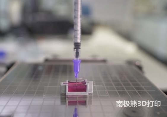 新南威尔士大学：使用新型陶瓷墨水3D打印带有活细胞的骨骼