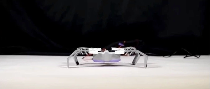 加州大学使用3D打印创建“类似于昆虫”的软机器人