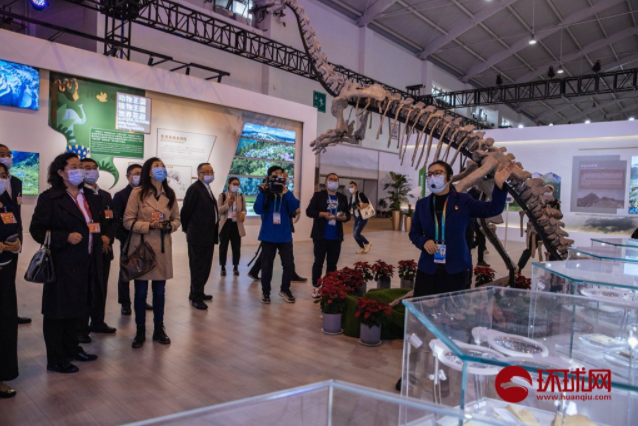 中国首个3D打印恐龙骨架亮相昆明生物多样性大会