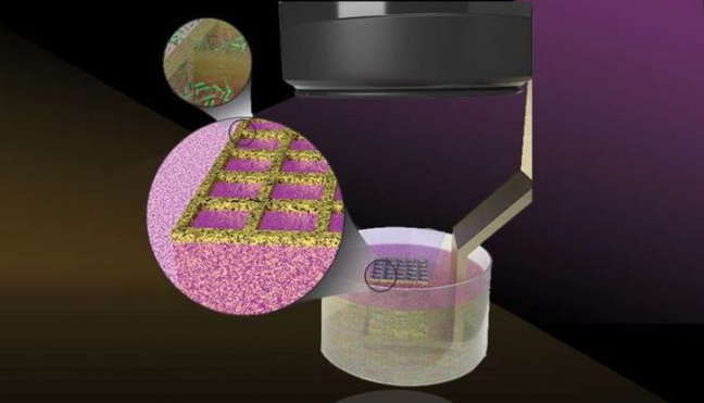 科学家开发出3D打印活微生物的新方法 以增强生物材料