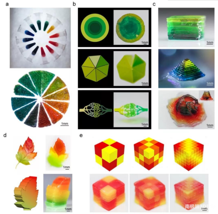 哈佛大学医学院《Adv Mater.》：数字光处理3D生物打印可调控梯度结构