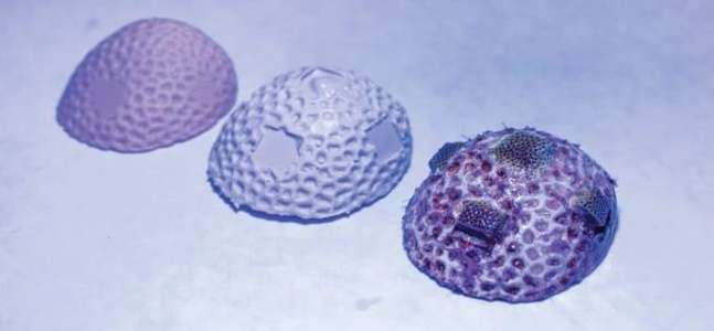 利用3D打印的碳酸钙珊瑚骨架帮助恢复珊瑚礁