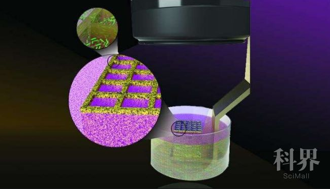 微生物3D打印材料可抗癌能隔离双酚A