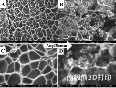 南京财经王立峰、蒋栋磊：DLP打印仿生小肠绒毛细胞传感器用于食品过敏原检测